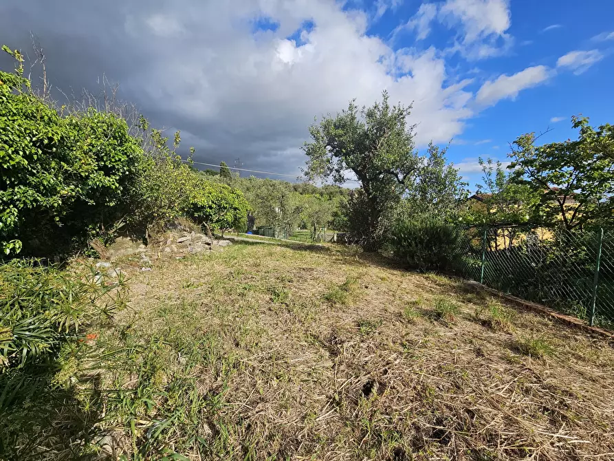 Immagine 20 di Porzione di casa in vendita  in Via Montecchio 68 a Castelnuovo Magra