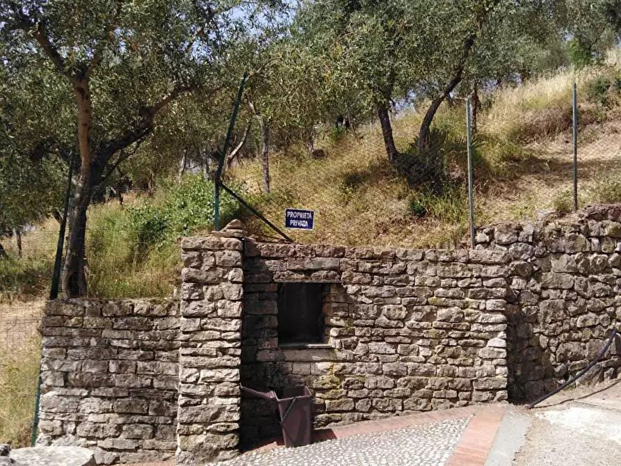 Immagine 14 di Trilocale in affitto  a La Spezia