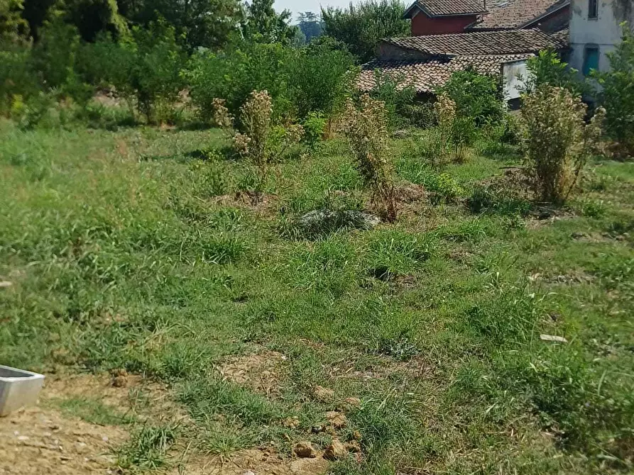 Immagine 11 di Terreno industriale in vendita  a Medesano