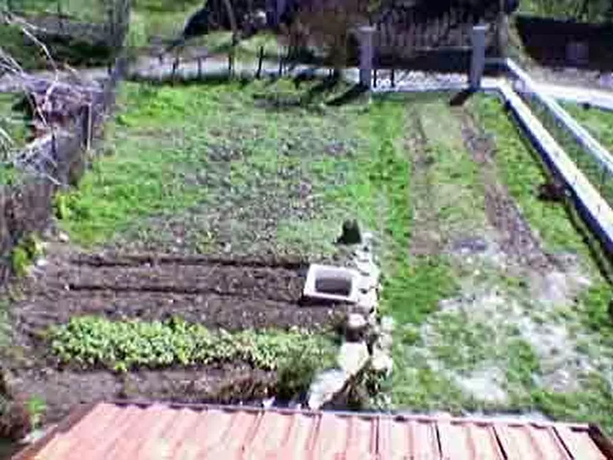 Immagine 5 di Terratetto in vendita  a Terenzo