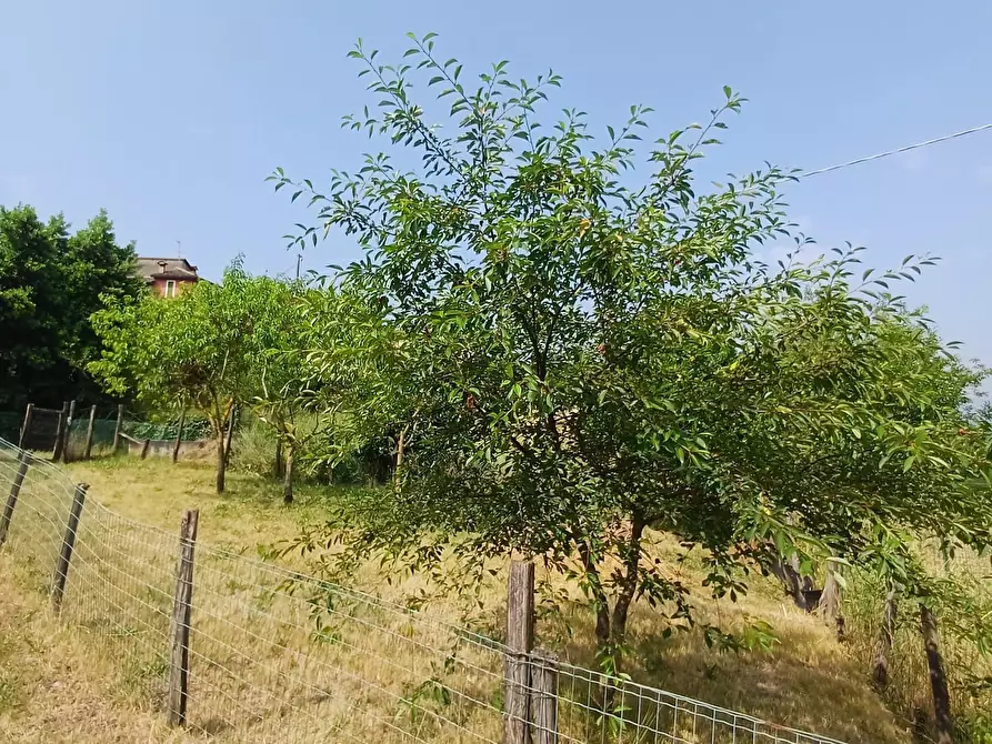 Immagine 5 di Porzione di casa in vendita  a Solignano