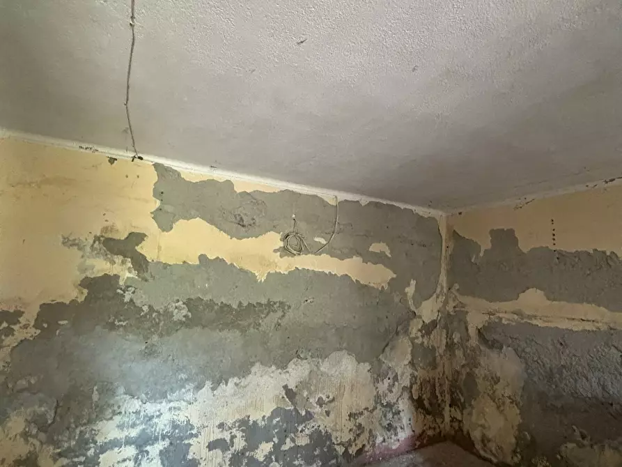 Immagine 48 di Casa indipendente in vendita  a Terenzo