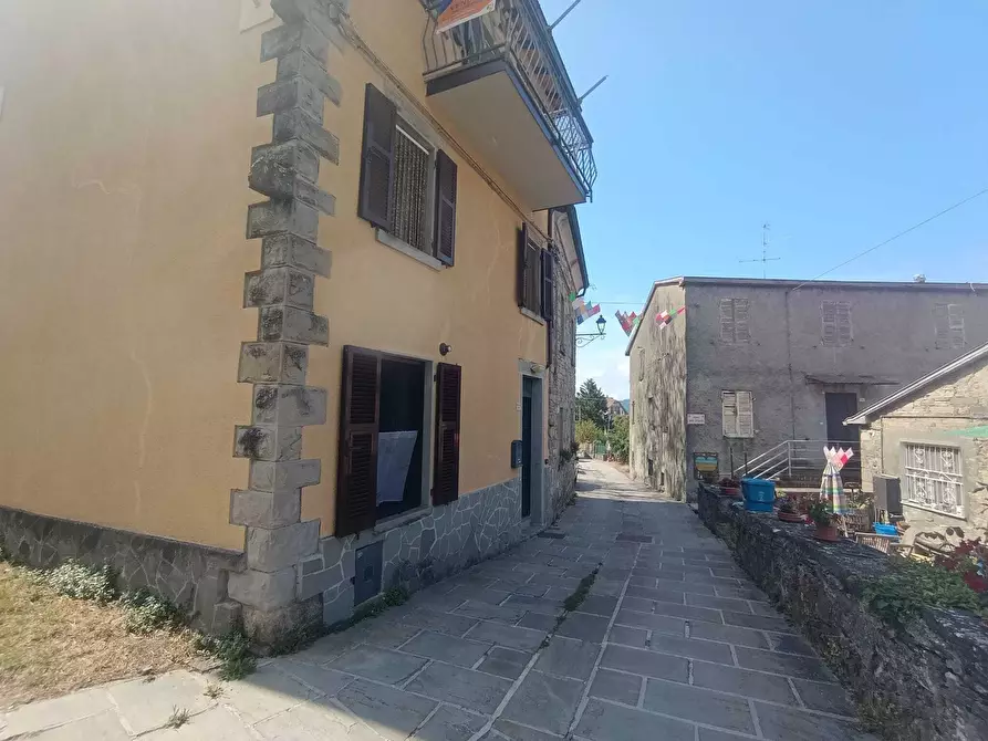 Immagine 3 di Terratetto in vendita  a Terenzo