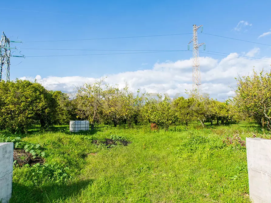 Immagine 29 di Terreno agricolo in vendita  in Via San Piero Patti 108 a Acireale