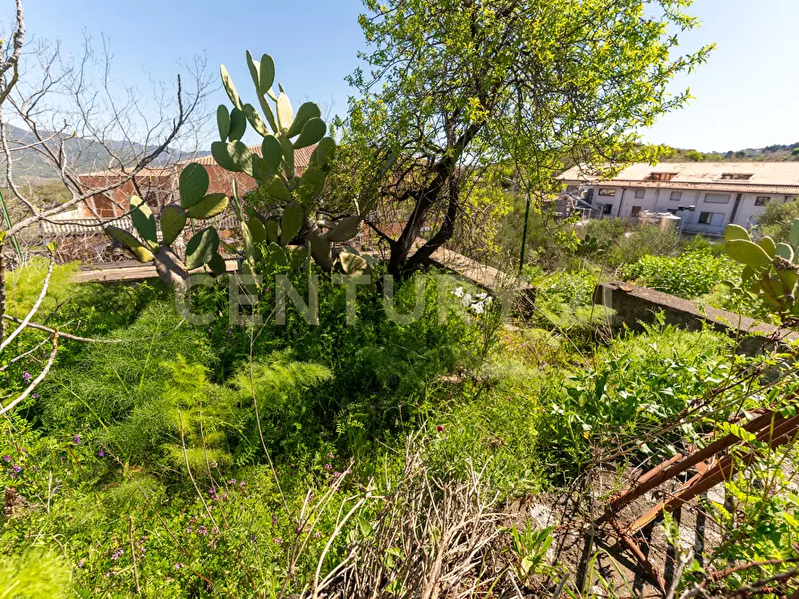 Immagine 9 di Casa indipendente in vendita  in Via Panebianco 20 a Castiglione Di Sicilia