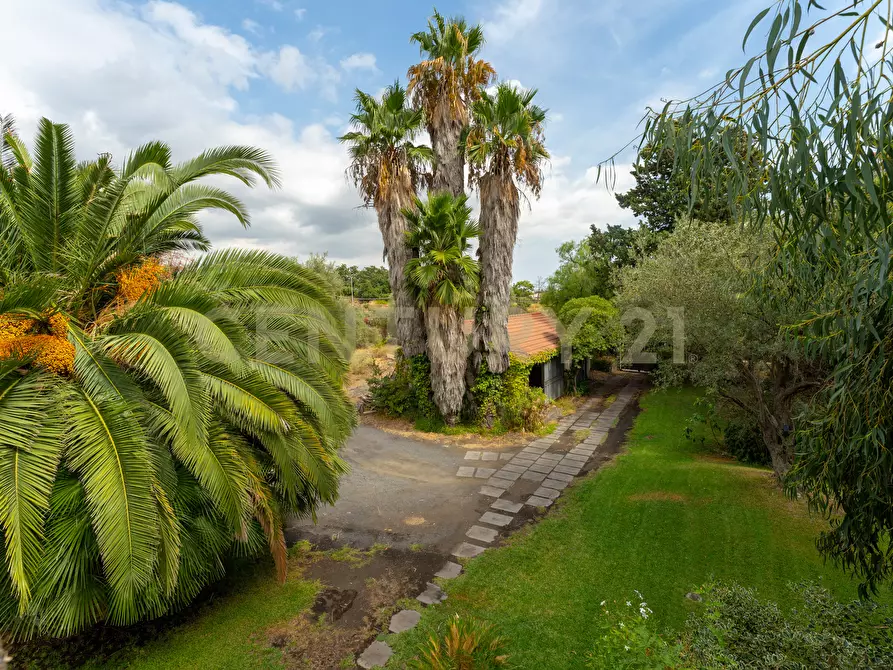 Immagine 62 di Villa in vendita  in Via Pulei 25 a Mascalucia