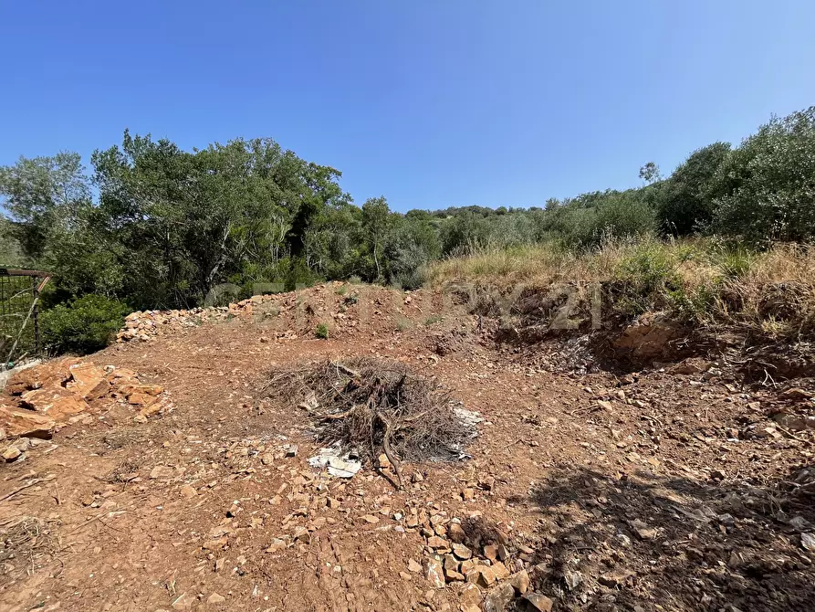 Immagine 3 di Rustico / casale in vendita  in località cannatelli snc a Monte Argentario