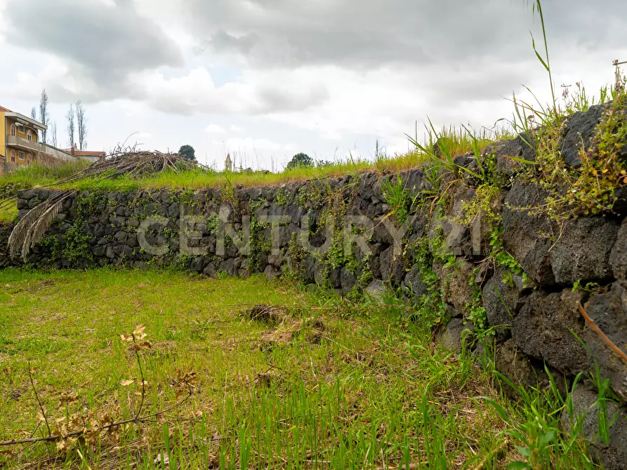 Immagine 83 di Casa indipendente in vendita  in Via Armando Diaz 83 a Zafferana Etnea