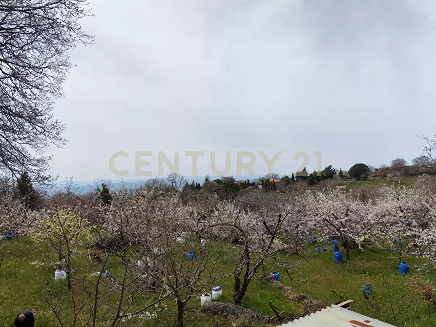 Immagine 2 di Terreno agricolo in vendita  in BIANCAVILLA a Catania
