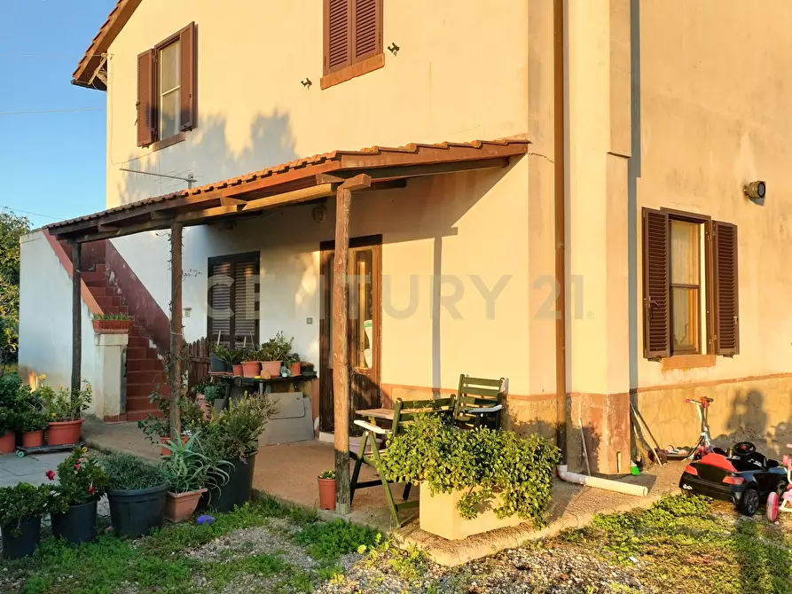 Immagine 4 di Rustico / casale in vendita  in Strada Pedemontana a Capalbio