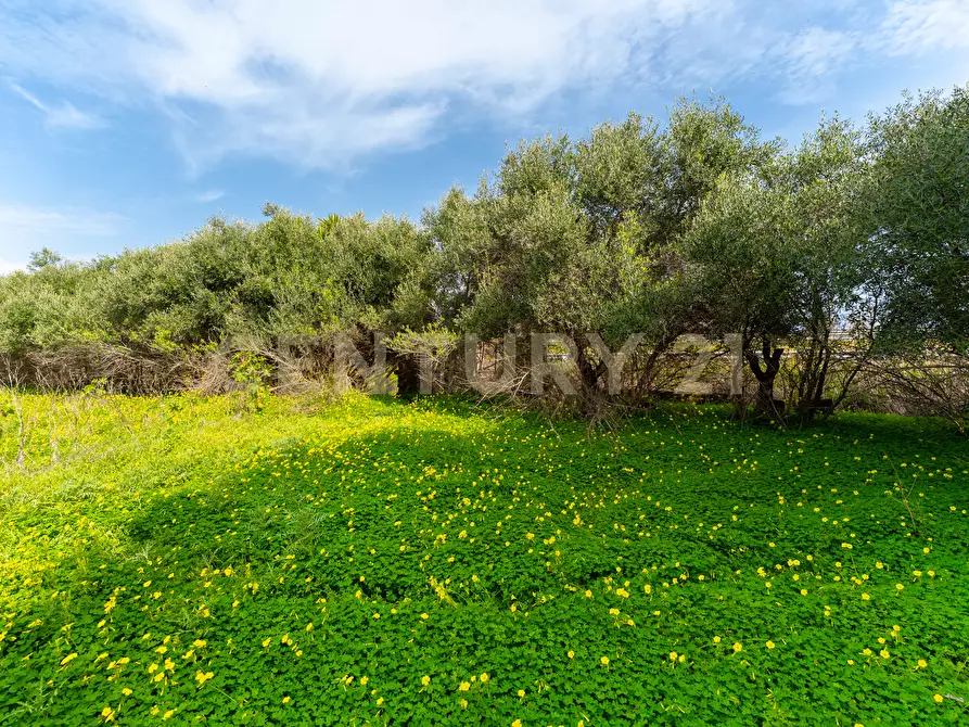Immagine 1 di Terreno agricolo in vendita  in Contrada Vaccarizzo a Catania