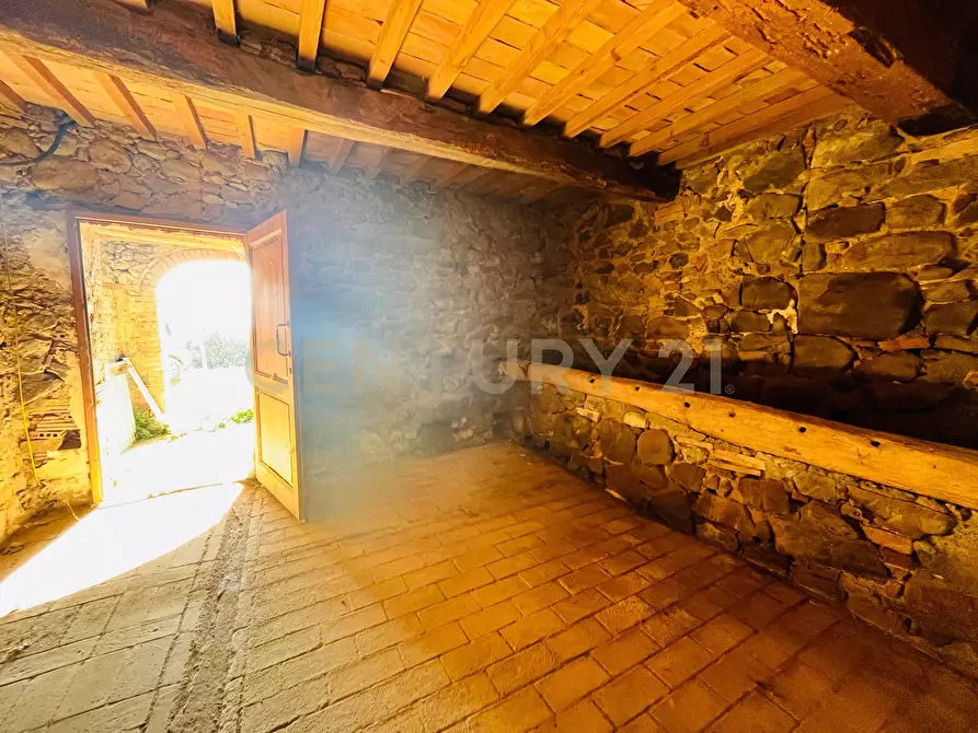 Immagine 14 di Casa bifamiliare in vendita  in località podere pelacane snc a Cinigiano