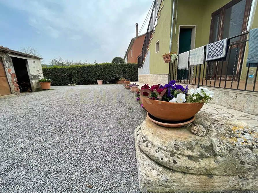 Immagine 11 di Casa indipendente in vendita  in Strada del Priorato a Orbetello