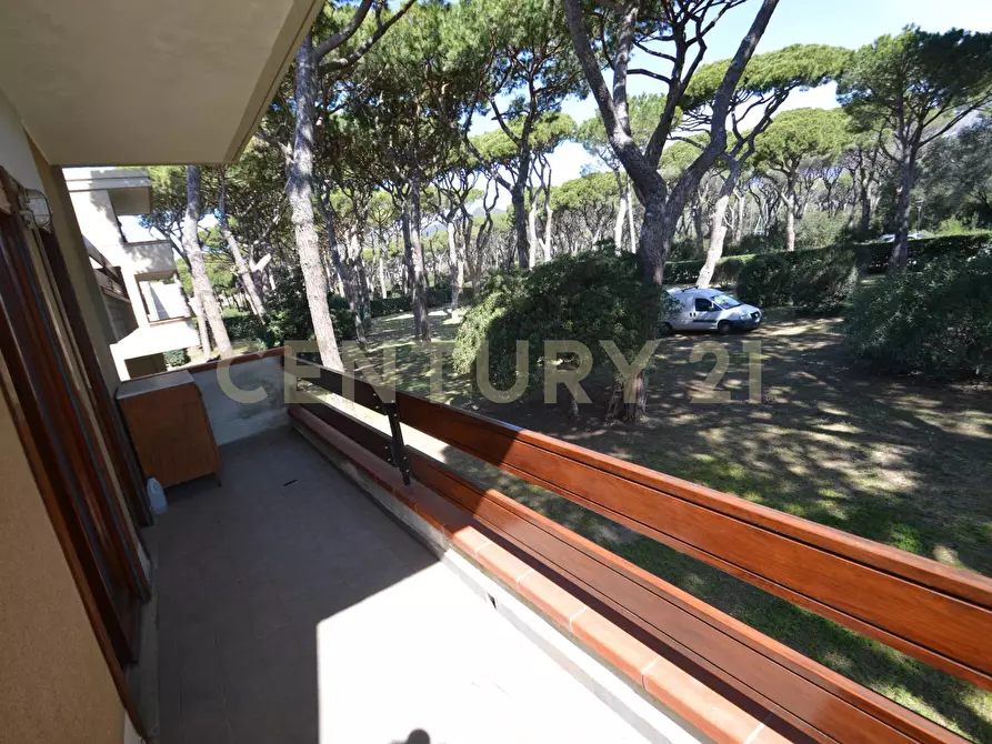 Immagine 24 di Quadrilocale in vendita  a Castiglione Della Pescaia