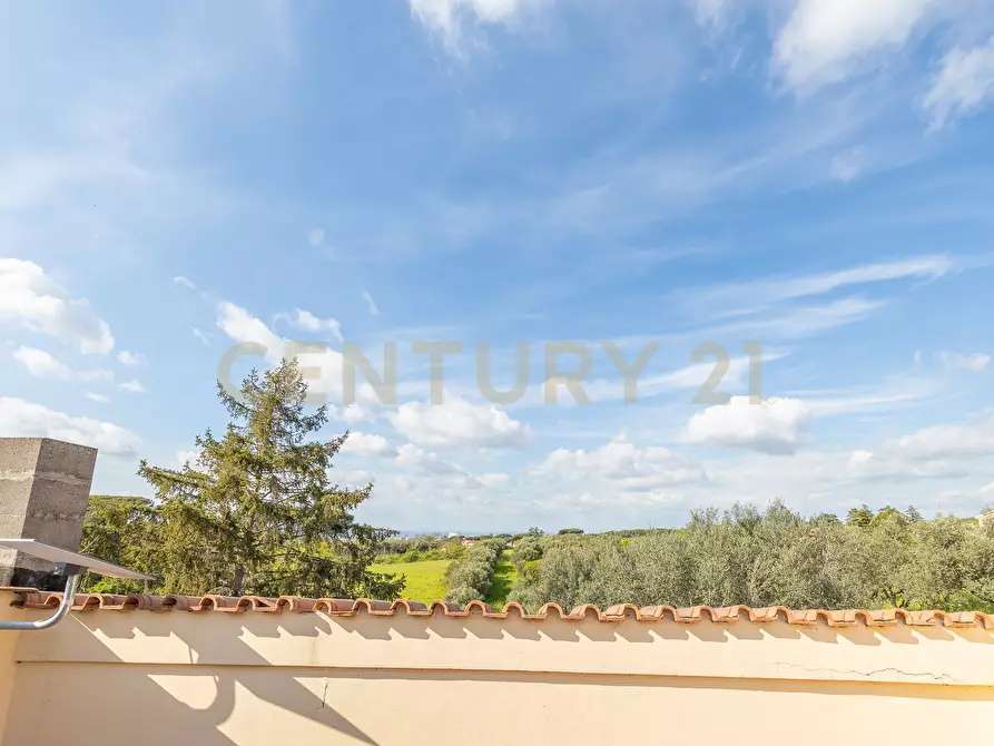 Immagine 94 di Casa indipendente in vendita  in Via di Grotte Maria 67 a Frascati