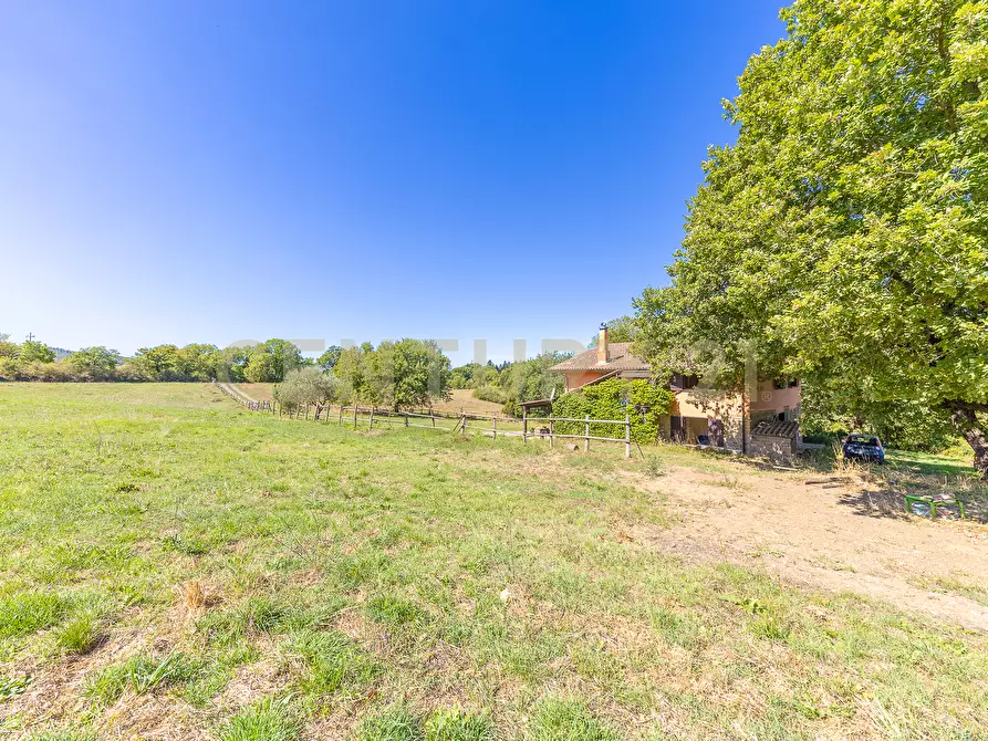 Immagine 35 di Rustico / casale in vendita  in località san quirichello a Barbarano Romano