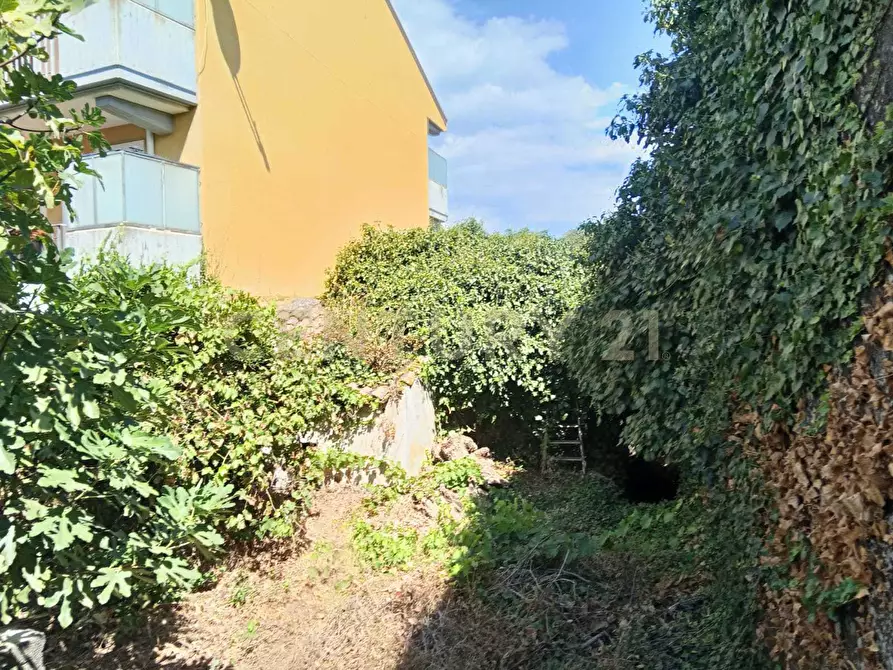 Immagine 28 di Rustico / casale in vendita  in Via Maugeri 12 a Valverde