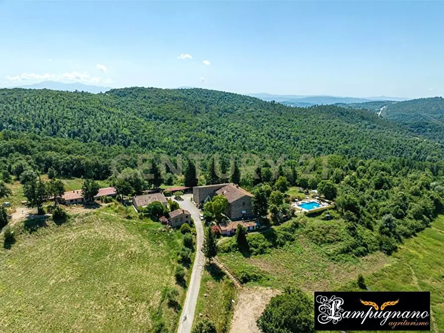 Immagine 48 di Rustico / casale in vendita  in agriturismo lampugnano 47 a Civitella Paganico