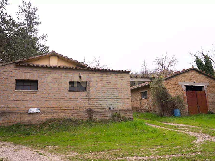 Immagine 35 di Rustico / casale in vendita  in sasso d'ombrone a Cinigiano