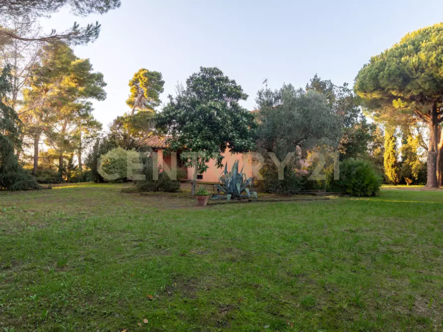 Immagine 2 di Villa in vendita  in Località Pian d'Alma a Castiglione Della Pescaia