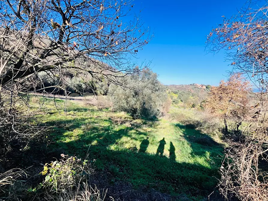 Immagine 7 di Casa bifamiliare in vendita  in località podere pelacane snc a Cinigiano