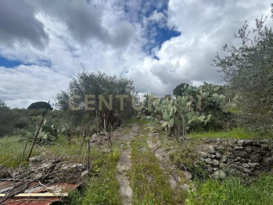 Immagine 24 di Terreno edificabile in vendita  in Viale Giovanni Falcone 9 a Camporotondo Etneo