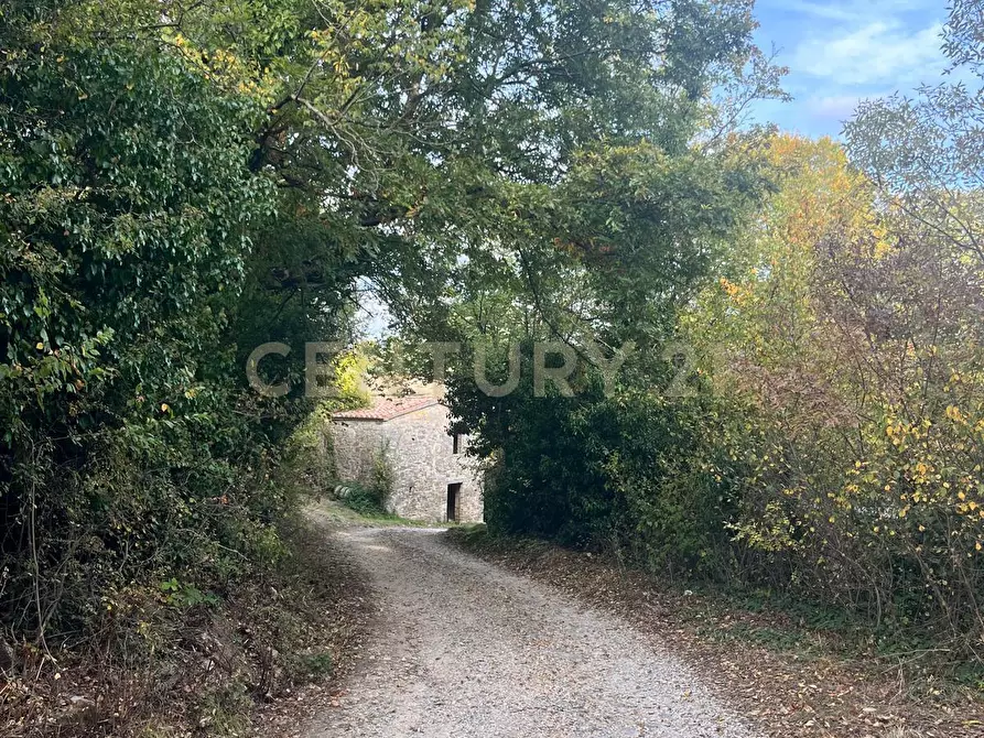 Immagine 26 di Rustico / casale in vendita  in località casa iaconi a Semproniano