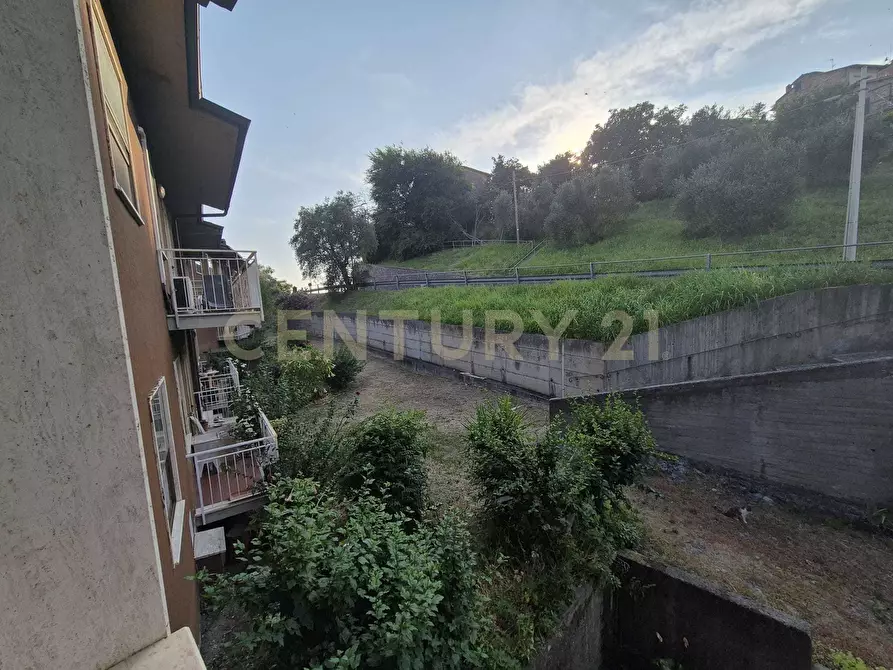 Immagine 14 di Quadrilocale in vendita  in Via degli Olivi 1 a Civitella Paganico