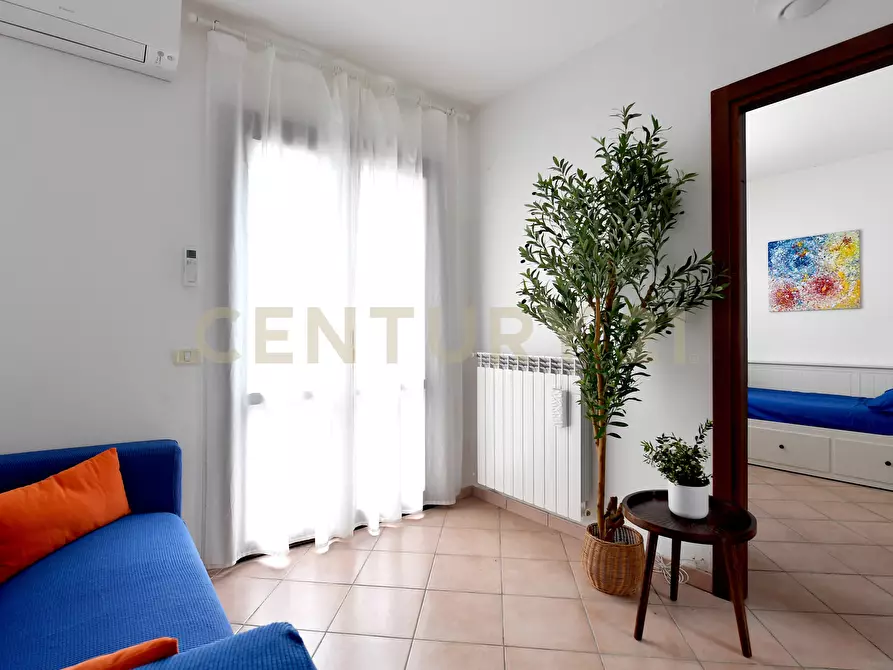 Immagine 25 di Terratetto in vendita  a Grosseto