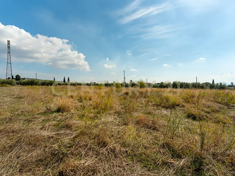 Immagine 17 di Terreno agricolo in vendita  in Via Margarone 5 a Motta Sant'anastasia