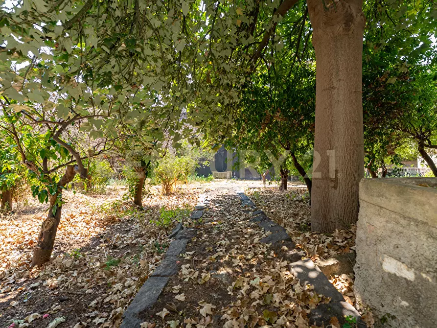 Immagine 15 di Villa in vendita  in Piazza F. M. Scuderi 7 a Viagrande