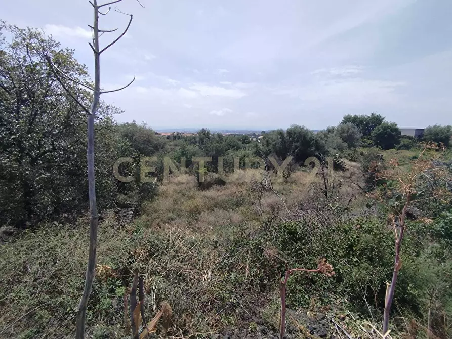 Immagine 20 di Terreno agricolo in vendita  in CONTRADA MANGIONE snc a Catania