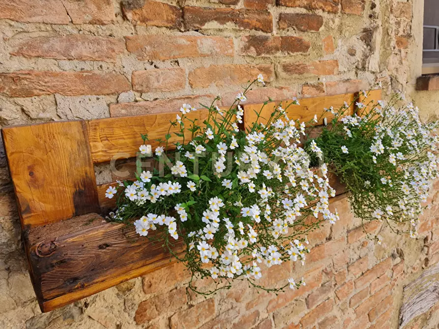 Immagine 19 di Casa semindipendente in vendita  in Via Volterra 20 a Cinigiano