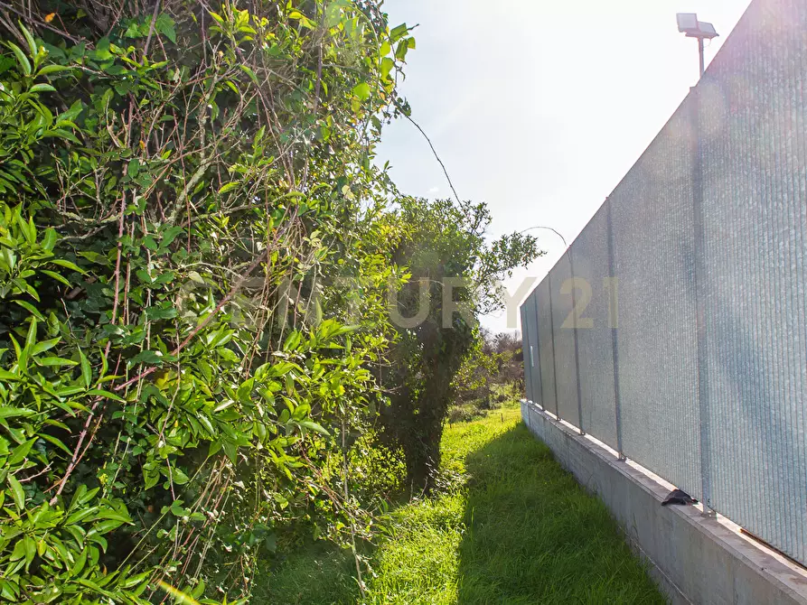 Immagine 3 di Terreno agricolo in vendita  in Via San Piero Patti 108 a Acireale