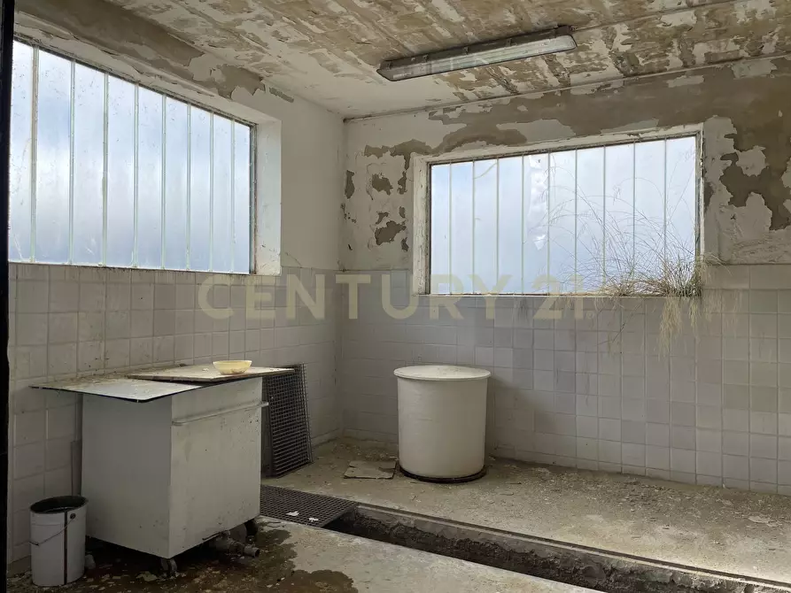 Immagine 54 di Attività artigianale in vendita  in Via Santisi a Motta D'affermo