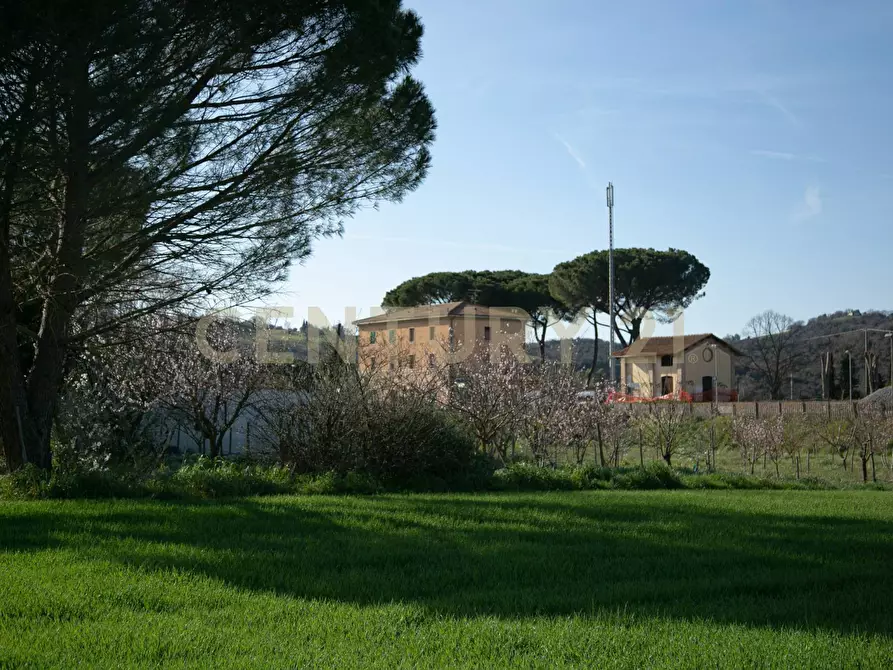 Immagine 26 di Rustico / casale in vendita  a Civitella Paganico