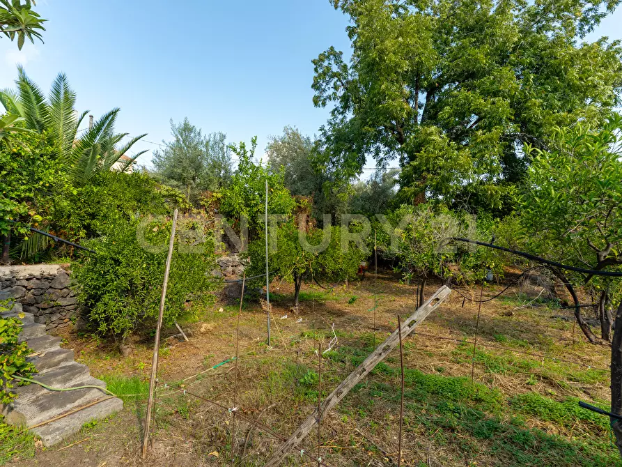 Immagine 14 di Villa in vendita  in Via di Bartolo a San Gregorio Di Catania