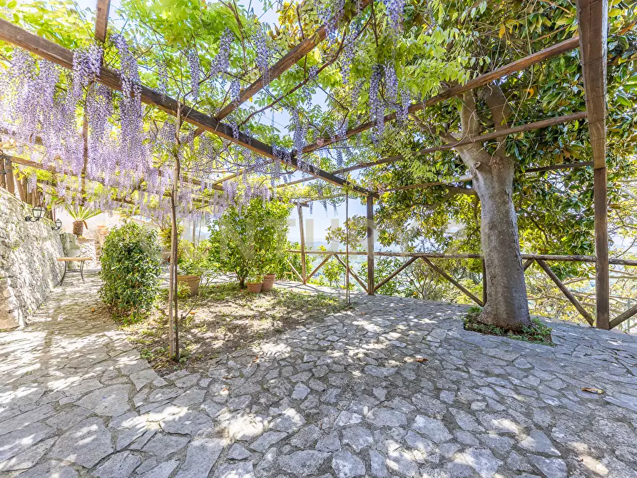 Immagine 102 di Rustico / casale in vendita  in Via Monte Scalambra a Serrone