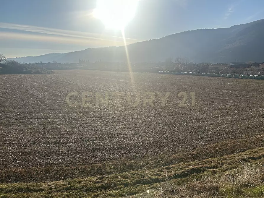 Immagine 12 di Terreno edificabile in vendita  in Via Don Giovanni Calabria 2 a Tregnago