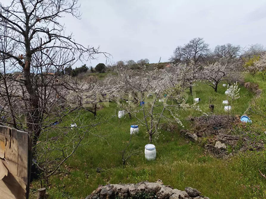 Immagine 16 di Terreno agricolo in vendita  in BIANCAVILLA a Catania