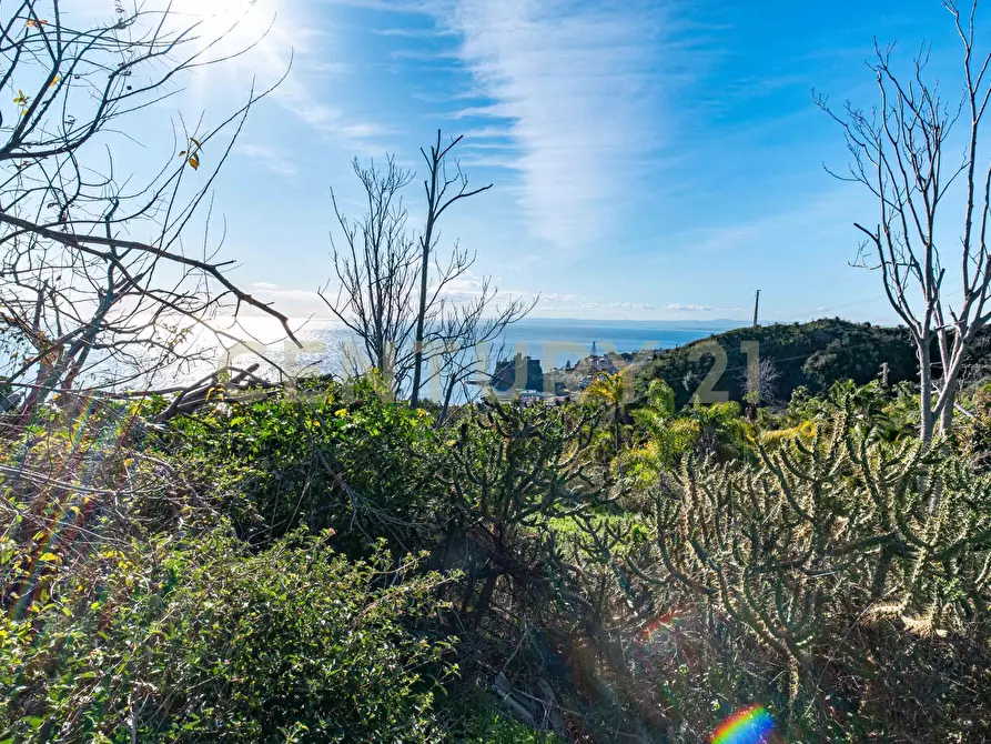 Immagine 23 di Terreno agricolo in vendita  in Via Vampolieri a Aci Castello