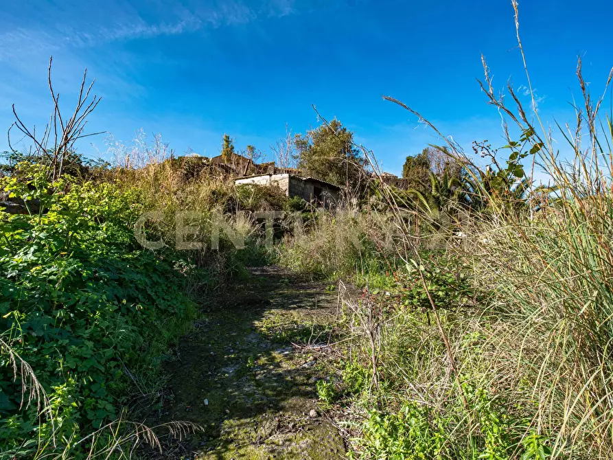 Immagine 10 di Terreno agricolo in vendita  in Via Vampolieri a Aci Castello