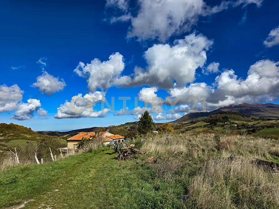 Immagine 9 di Rustico / casale in vendita  in monte labbro a Arcidosso