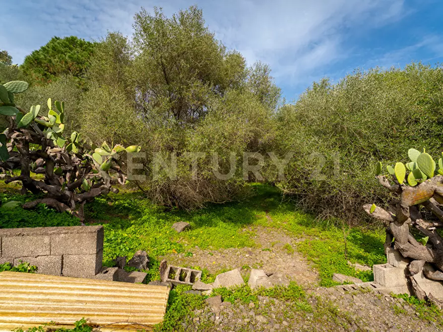 Immagine 30 di Terreno agricolo in vendita  in Contrada Vaccarizzo a Catania