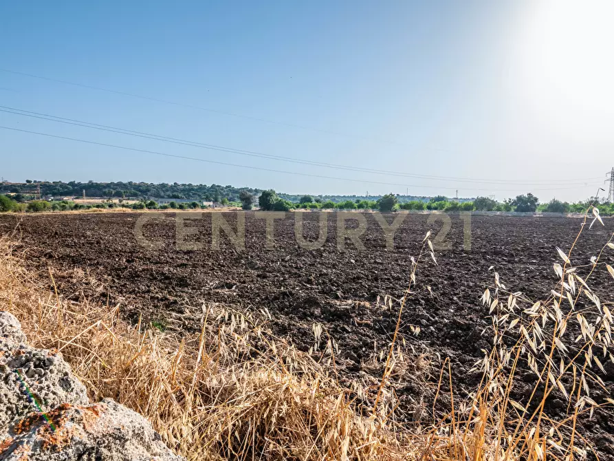 Immagine 41 di Terreno industriale in vendita  in Via per Floridia 11 a Siracusa