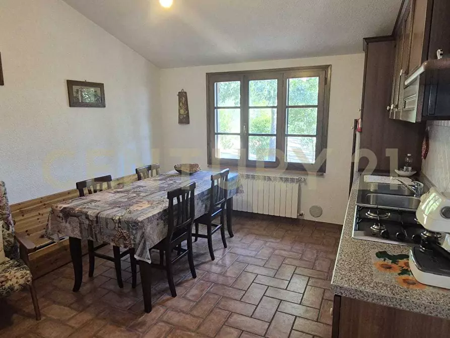 Immagine 8 di Azienda agricola in vendita  in località poggio al capraio snc a Roccastrada