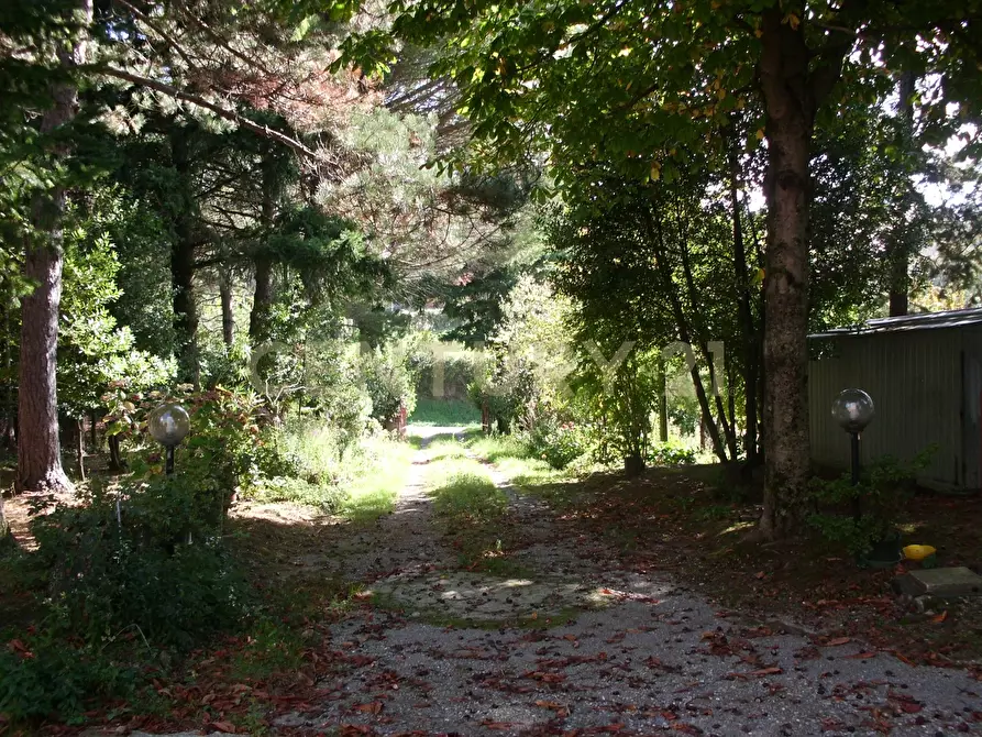 Immagine 20 di Rustico / casale in vendita  in la serra 57 a Arcidosso