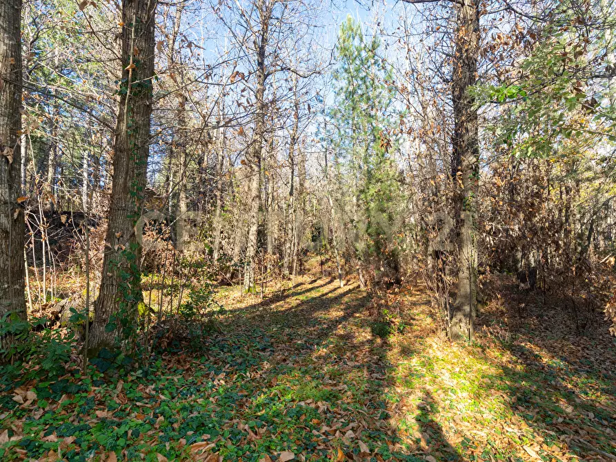 Immagine 25 di Villa in vendita  in Via della Regione 70 a Pedara