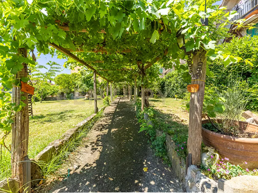 Immagine 2 di Villa in vendita  in Viale Giuseppe Mazzini 36 a Viterbo