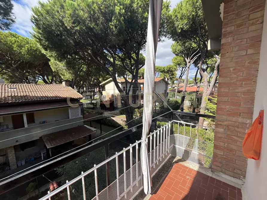 Immagine 10 di Pentalocale in vendita  in via delle ginevre 21 a Grosseto